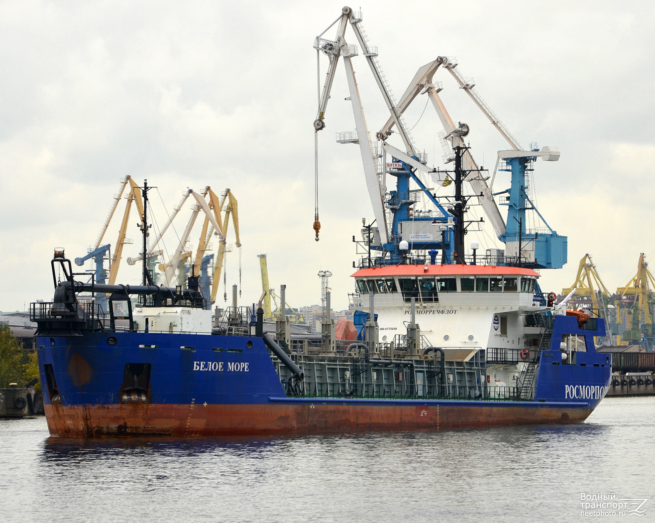 Белое море