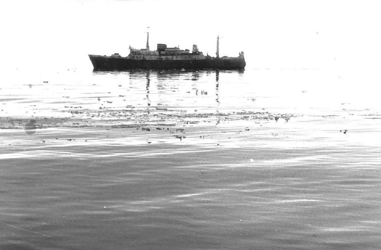 Туман-2 — Фото — Водный транспорт