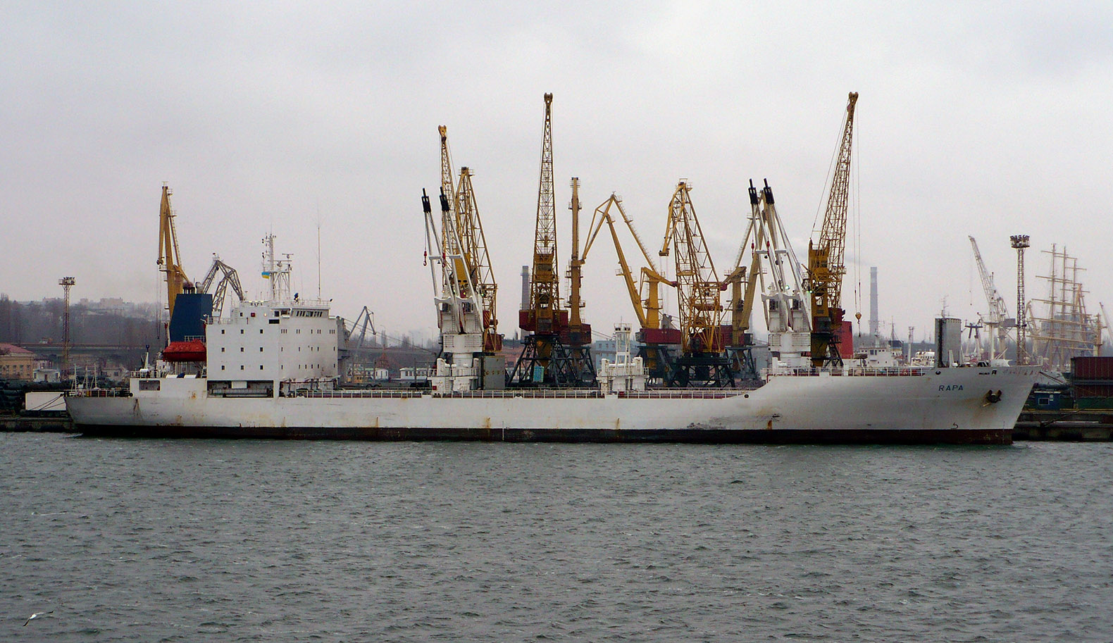 Pacific ship. Пасифик Рей судно. Pacific ray судно. Судно Пасифик дипломат. Судно Ашамба.