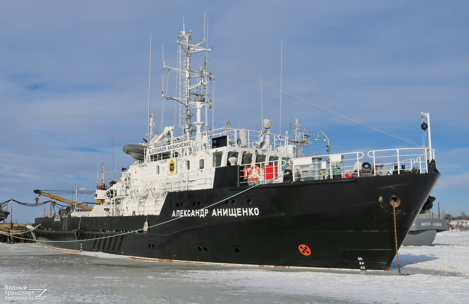 Александр Анищенко