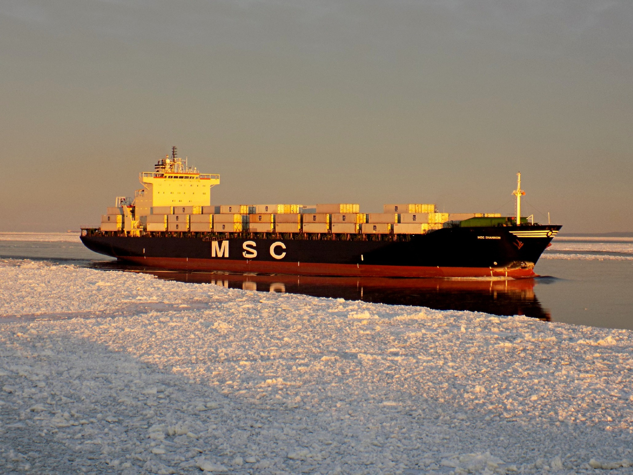 MSC Shannon