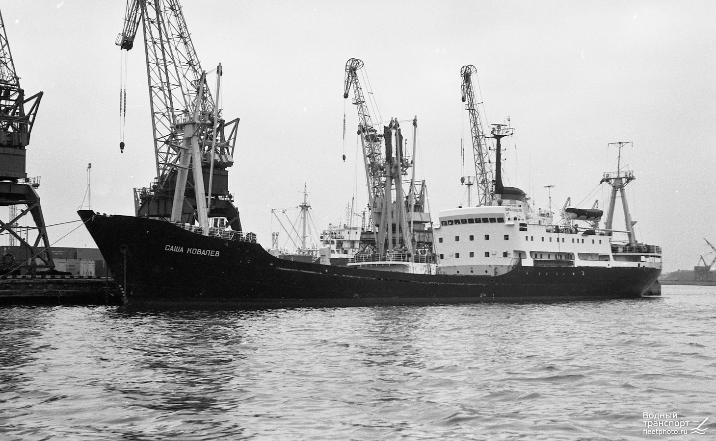 Танкер панамакс. Теплоход саши ковалева. Судно spyros v. Судно spyros v. Zeila wreck namibia.