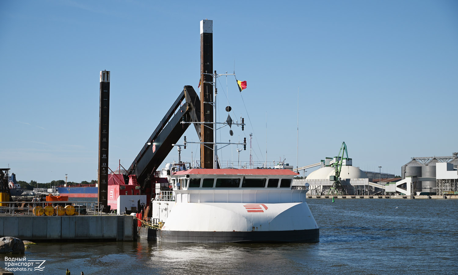 Albatros