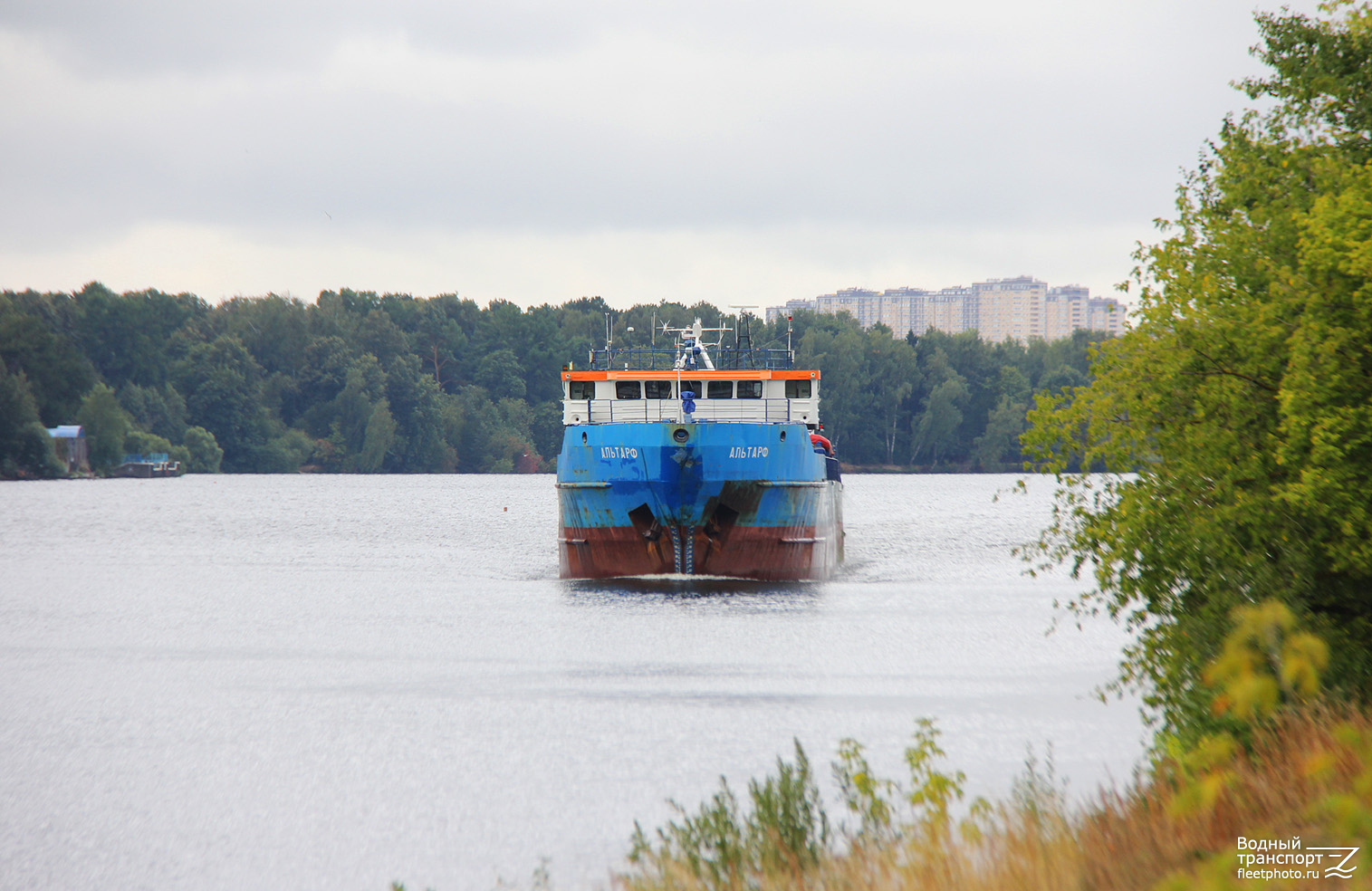 Альтарф