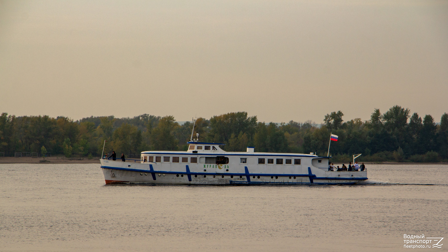 Журавель