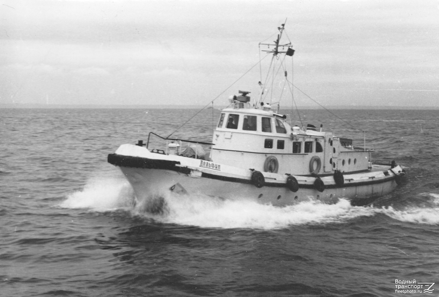 Дельфин — Фото — Водный транспорт