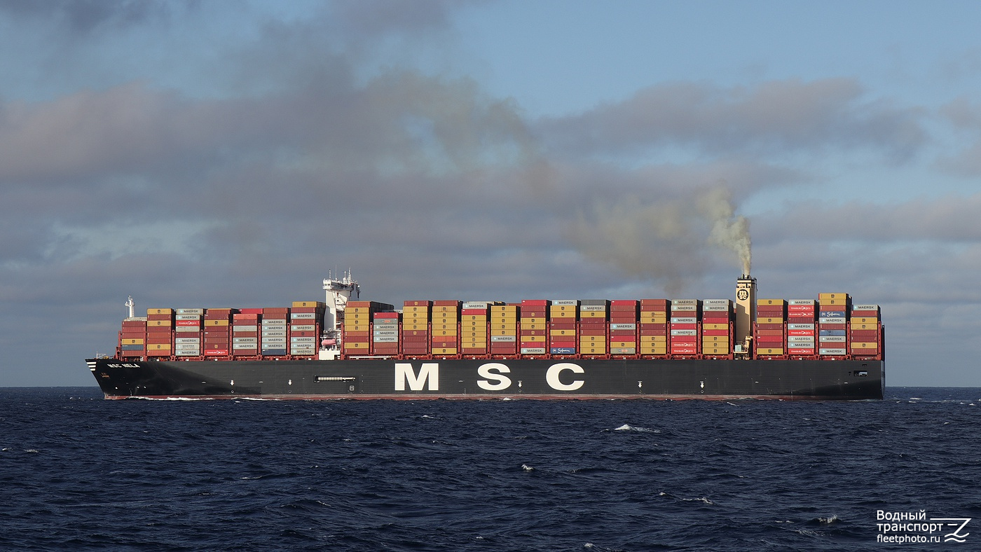 MSC Nela