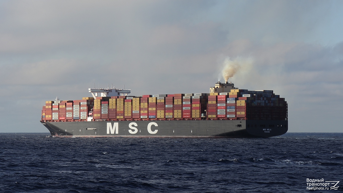 MSC Nela