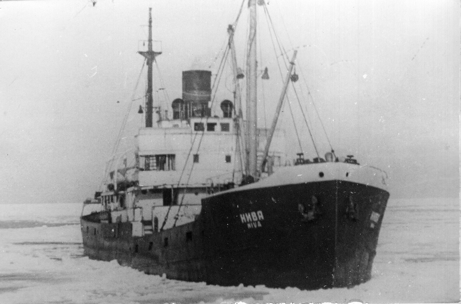 Нива — Фото — Водный транспорт