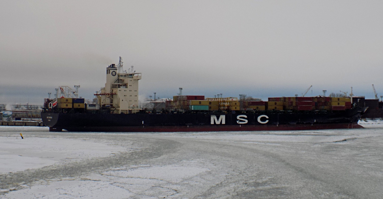 MSC Shannon