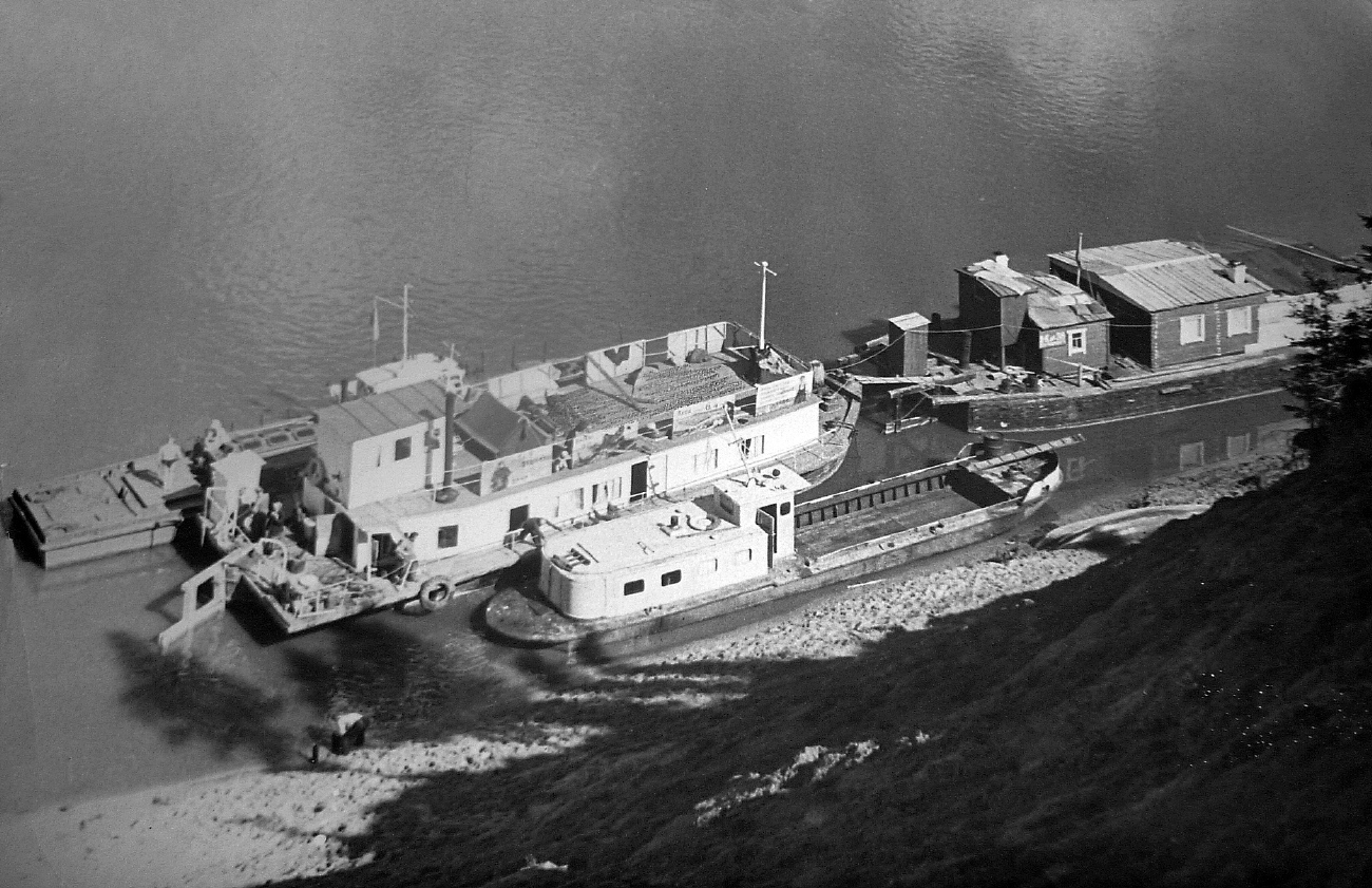 Баян, Красный чум, Неопознанное судно - проект Т-81 — Фото — Водный ...