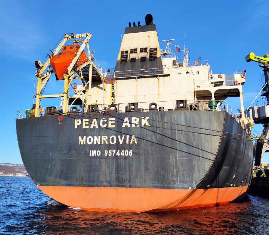 Peace Ark. Элементы и детали