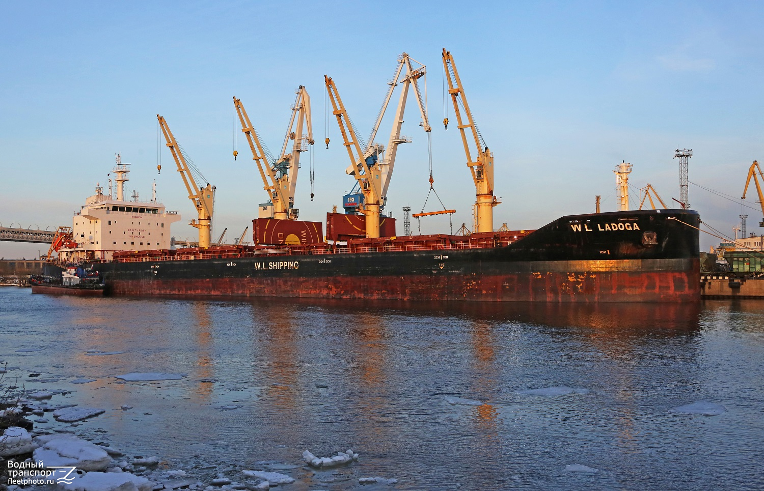 WL Ladoga — Photo — FleetPhoto