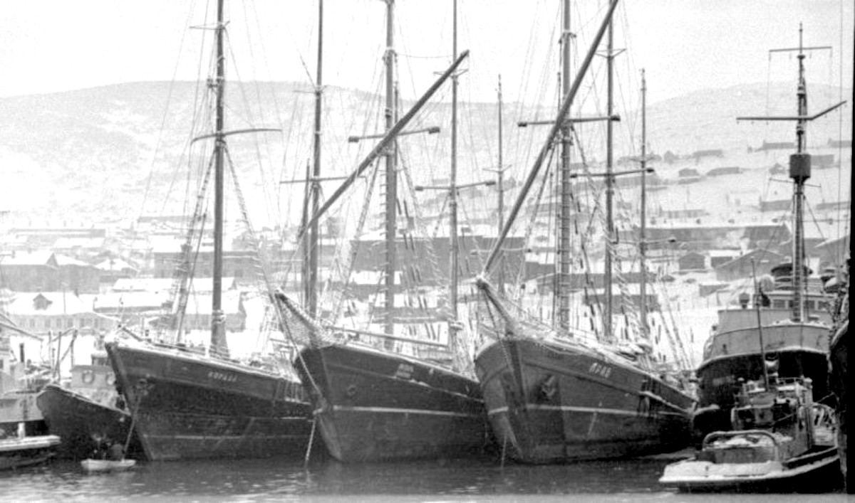 Коралл, Краб. Дальневосточный бассейн — Фото — Водный транспорт