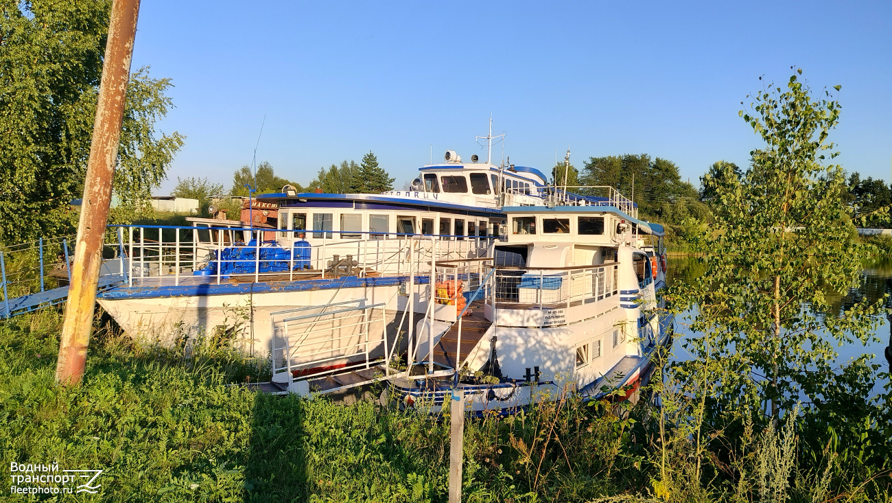 Петрович, Полковник Новгородов