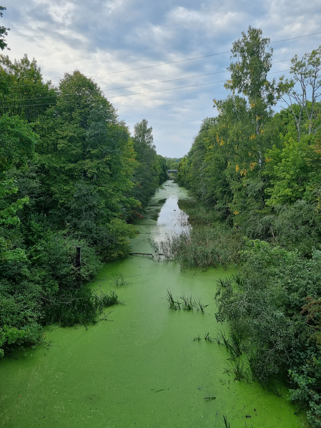 Балтийский морской бассейн