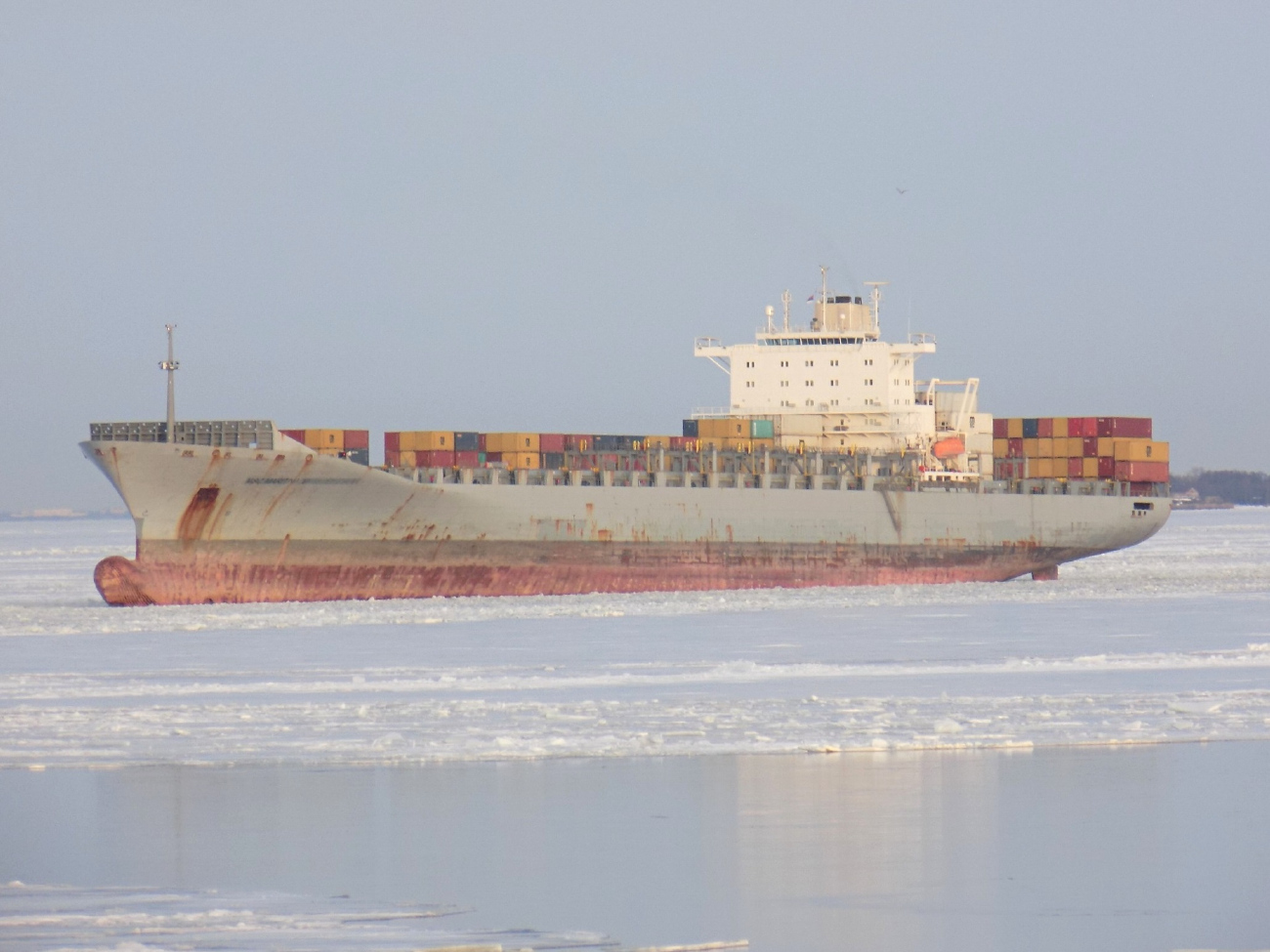 MSC Maritina V