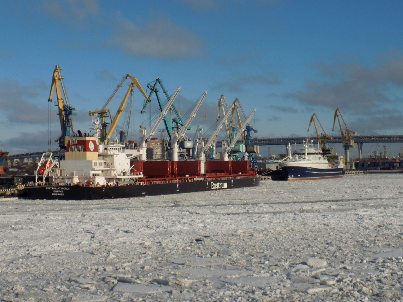 Rostrum Antarctica, Капитан Мартынов