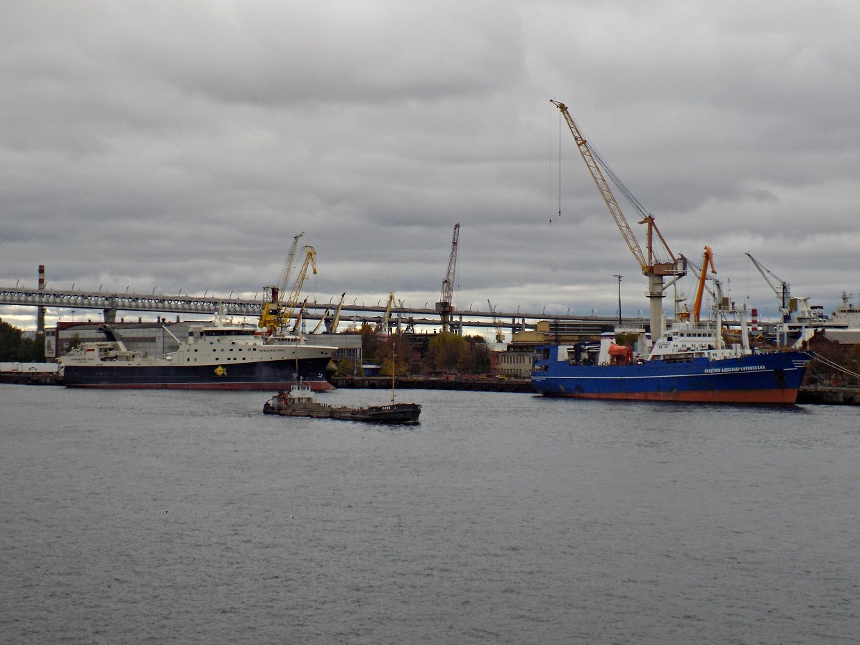 Норвежское море, Лаук, Академик Александр Карпинский