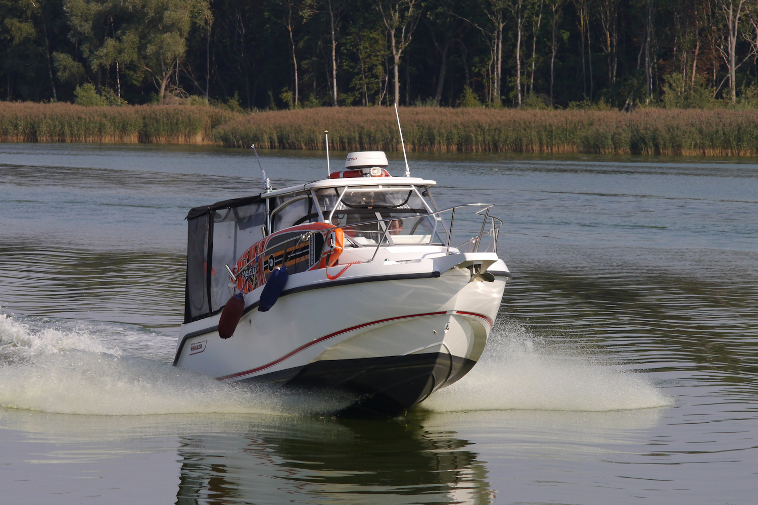 Неопознанный катер - тип Boston Whaler