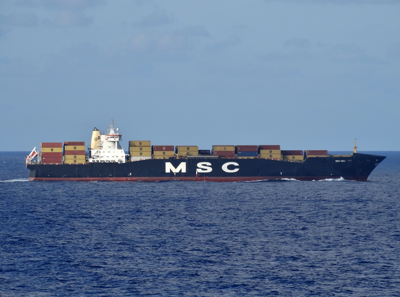 MSC Asli