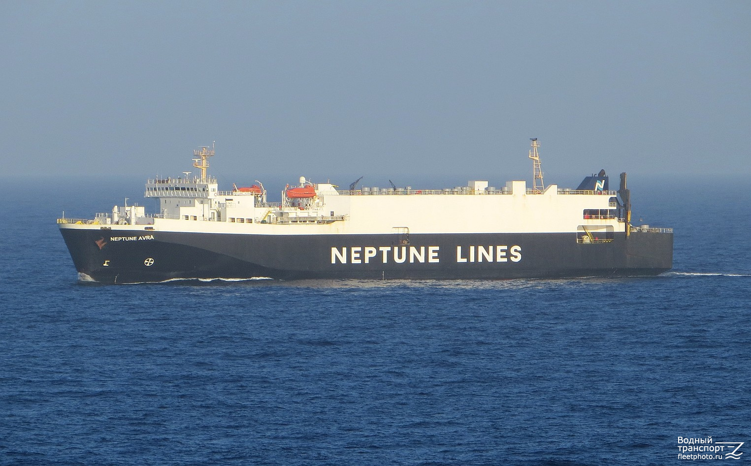 Neptune Avra
