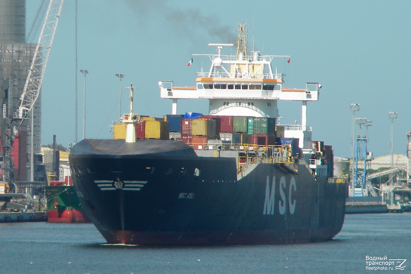 MSC Asli