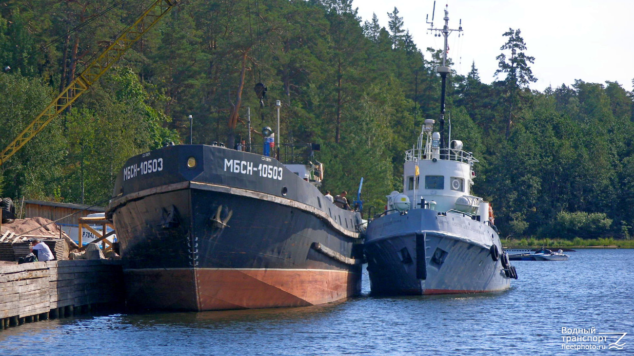 МБСН-10503, Святой Александр Невский