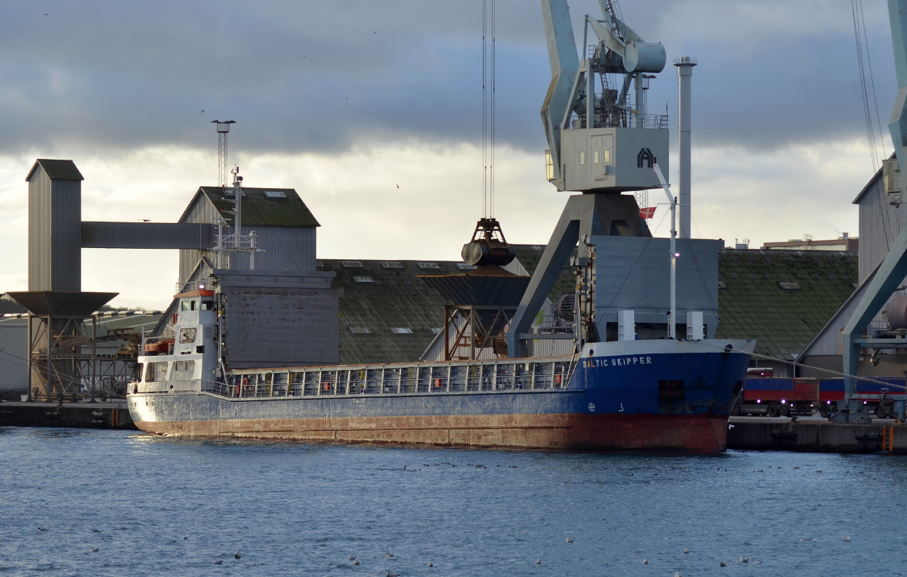 Baltic Skipper