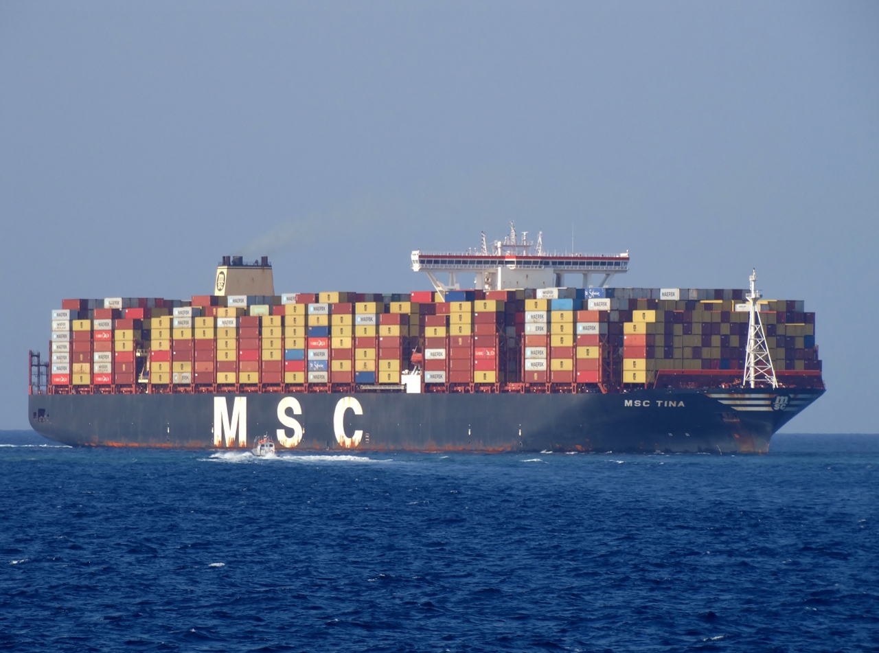 MSC Tina