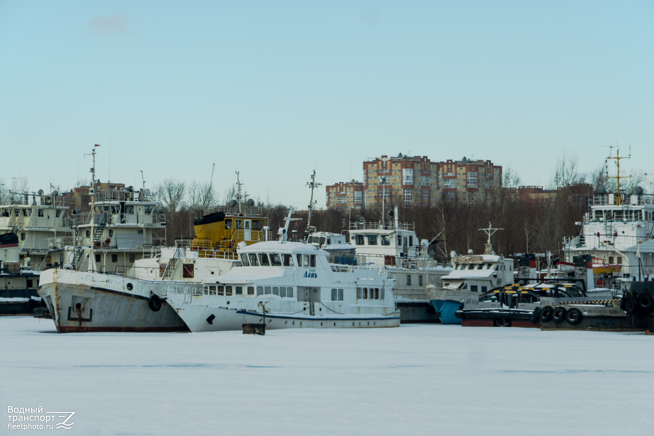 Лань