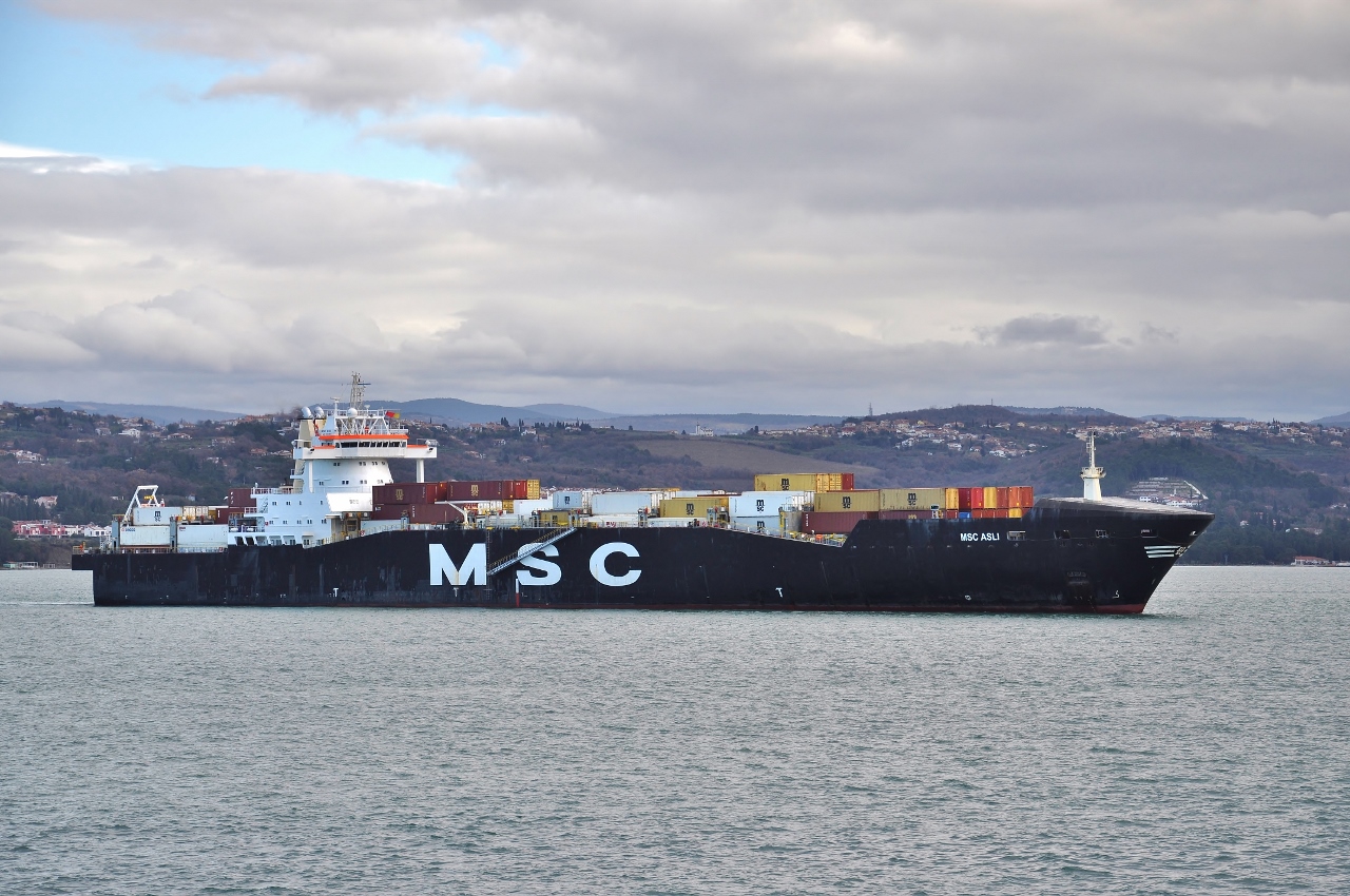 MSC Asli