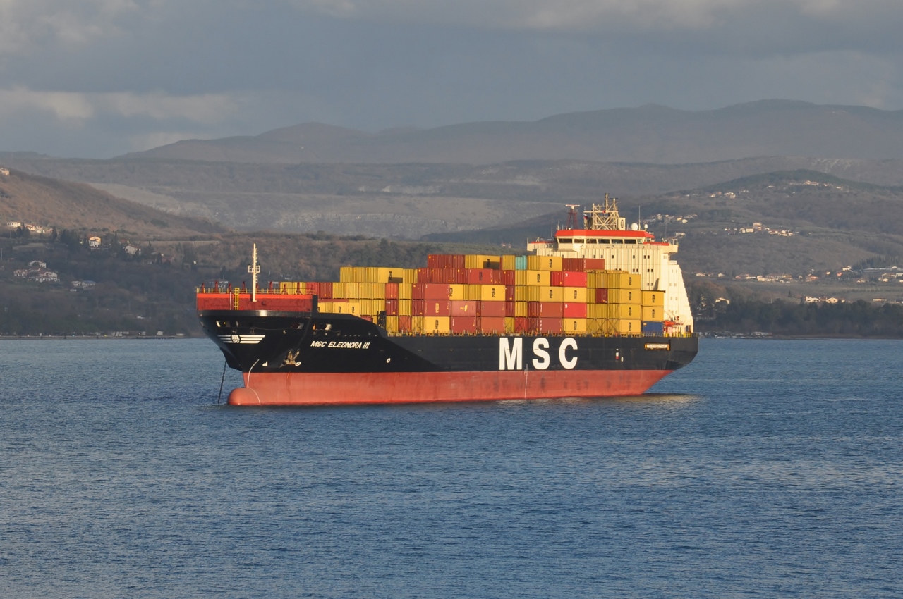 MSC Eleonora III