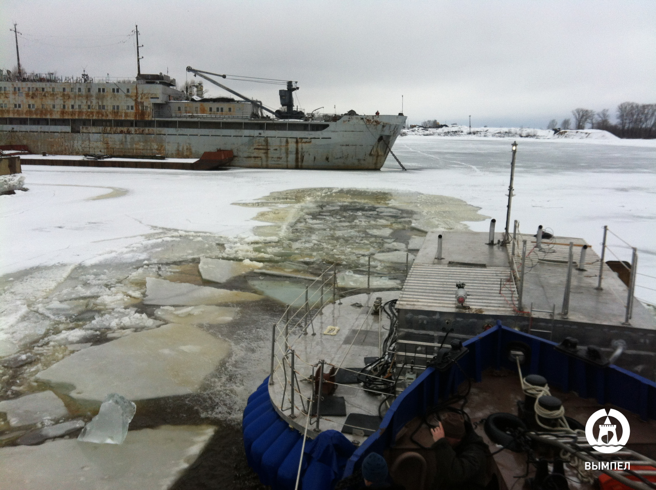 Кит. Виды из рубок и с ходовых мостиков