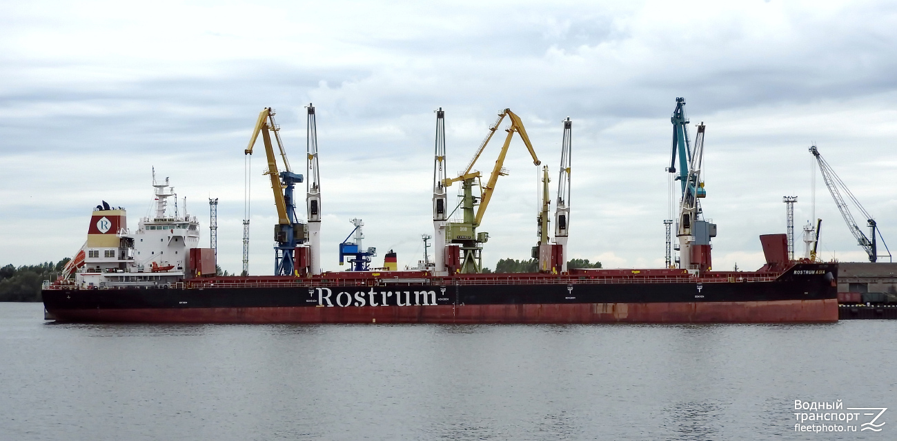 Rostrum Asia