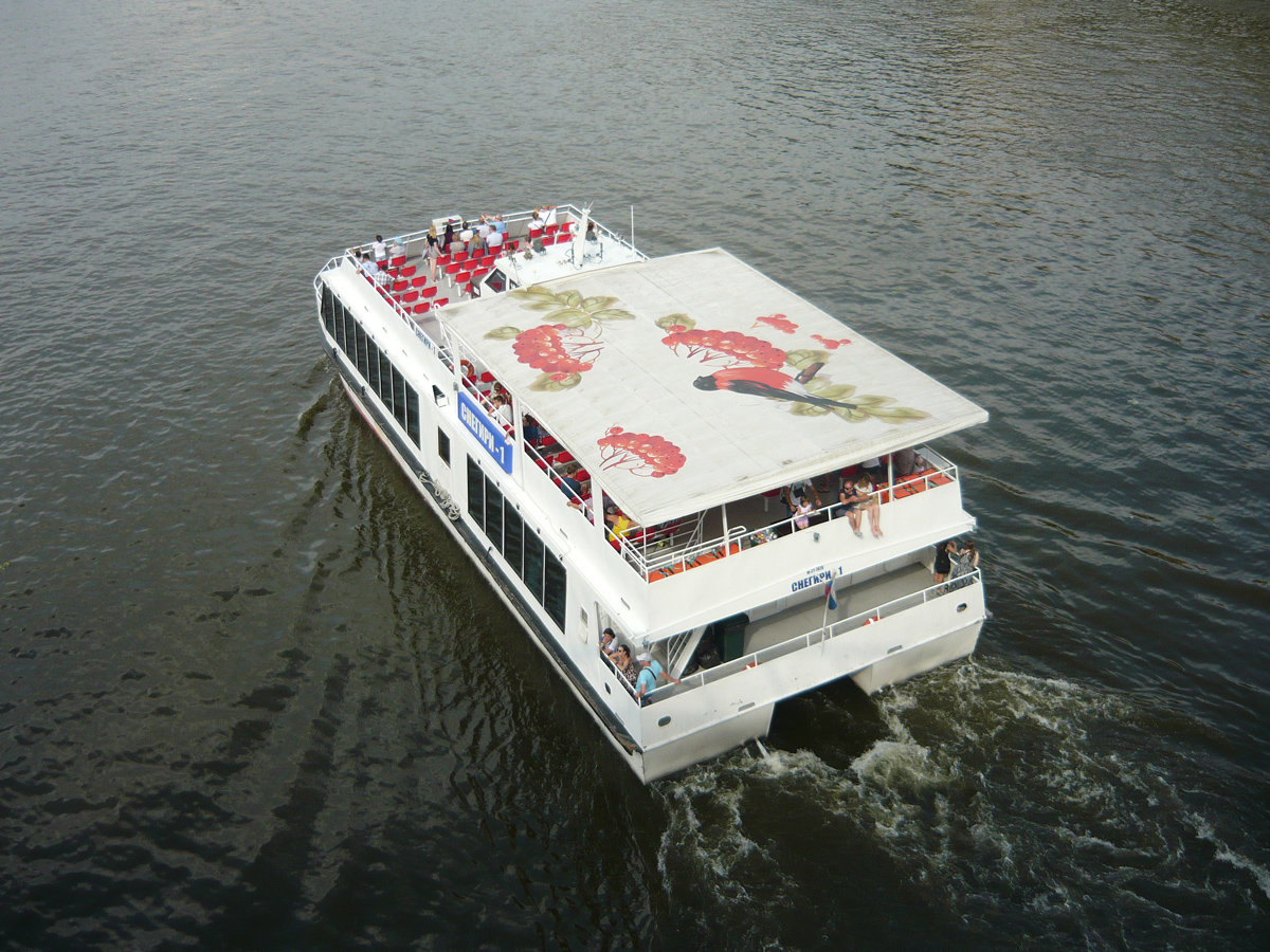 Снегири-1