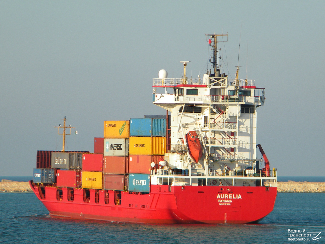 Aurelia