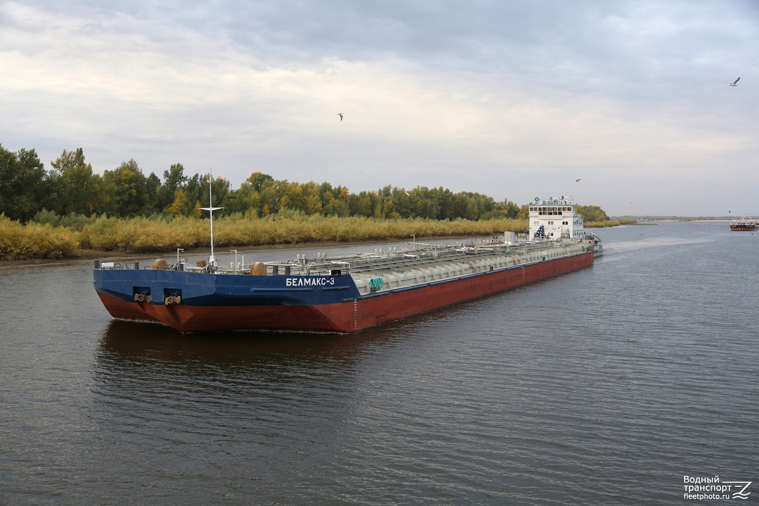 Белмакс 3, ОТ-1511