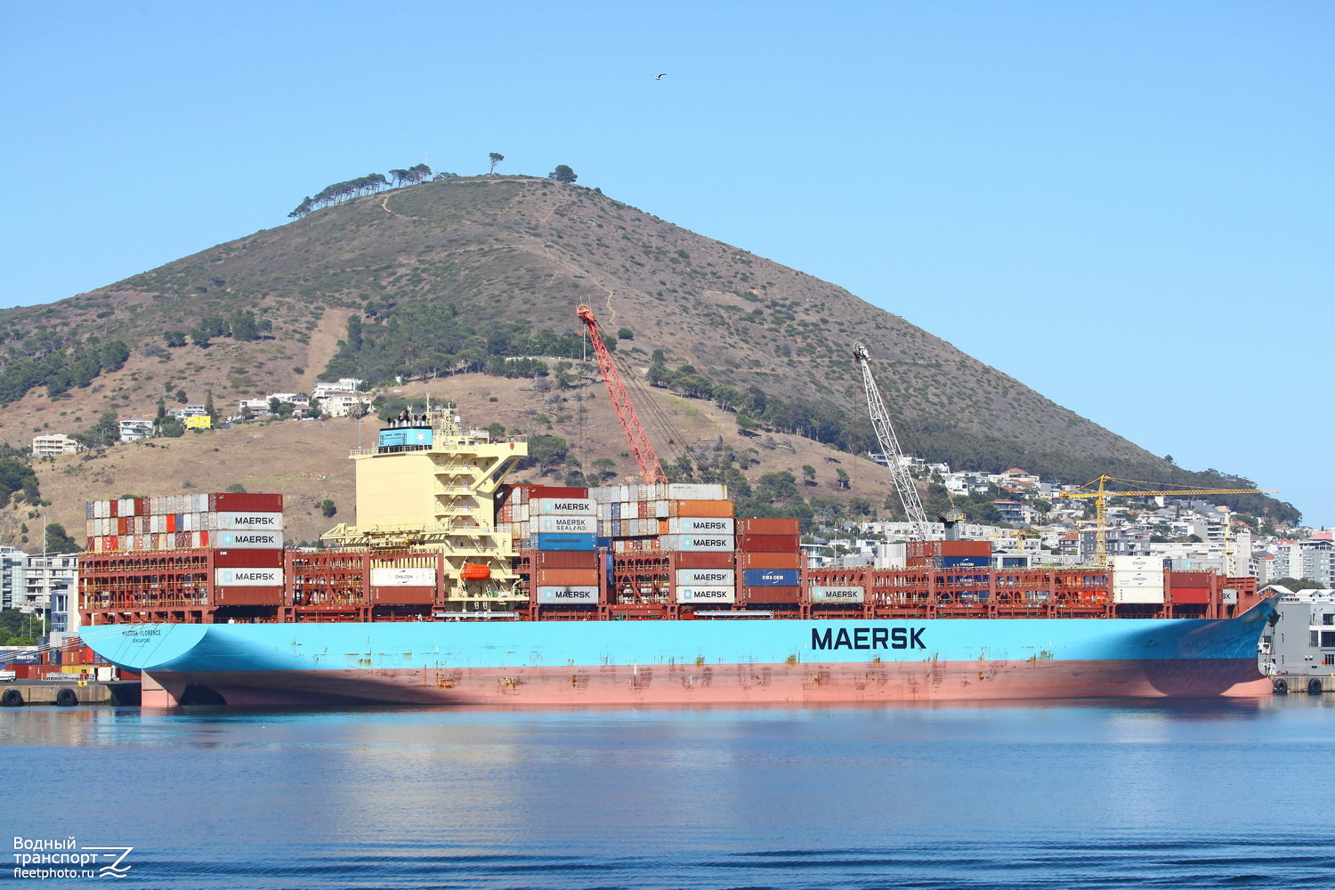 Maersk Florence