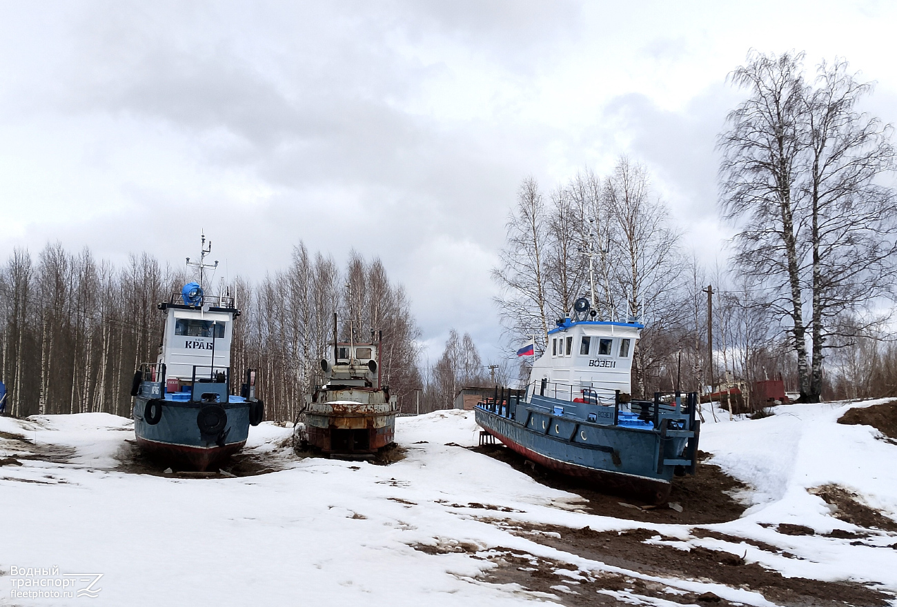 Краб, Дрозд, Возей