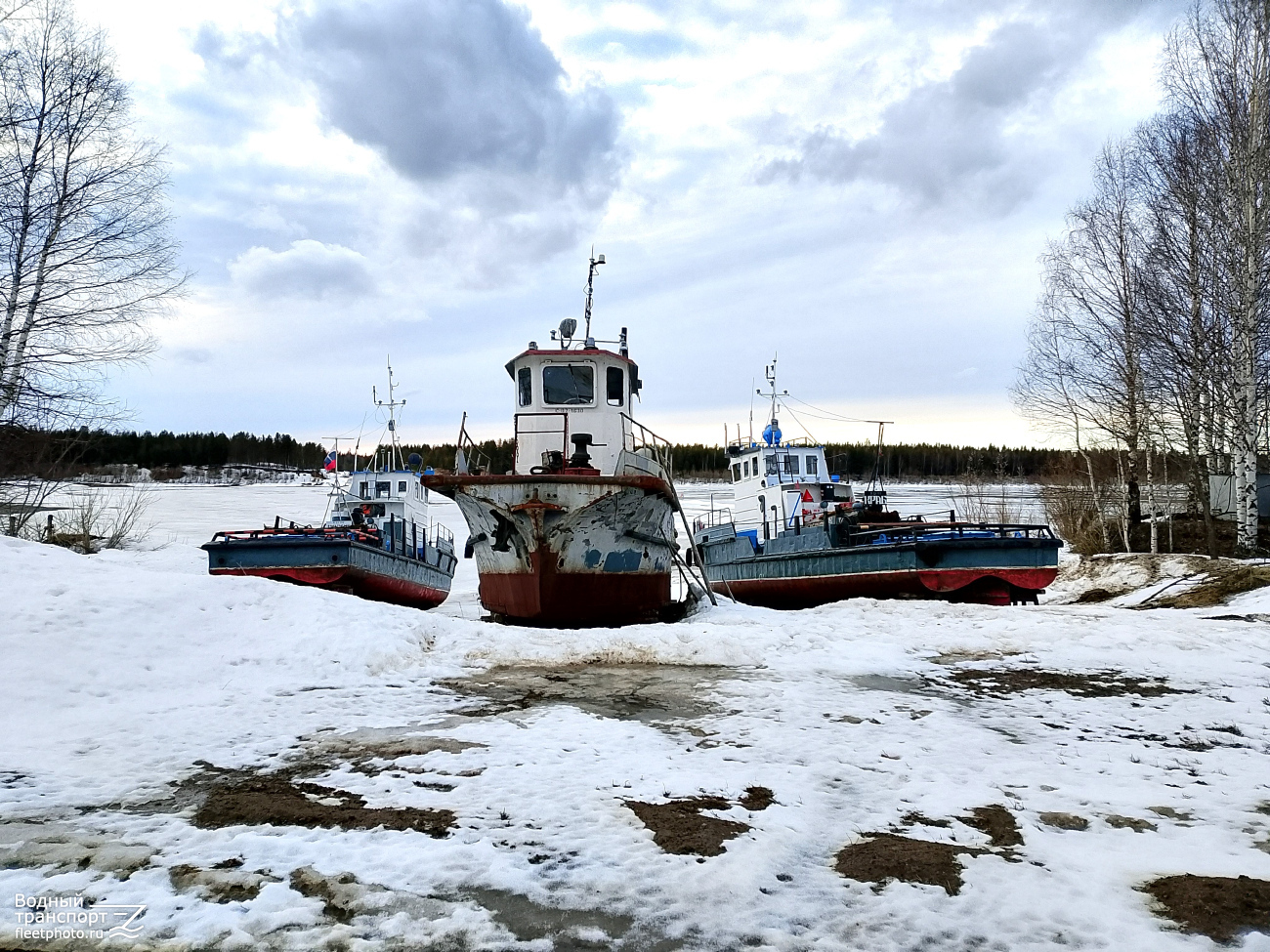 Возей, Дрозд, Краб