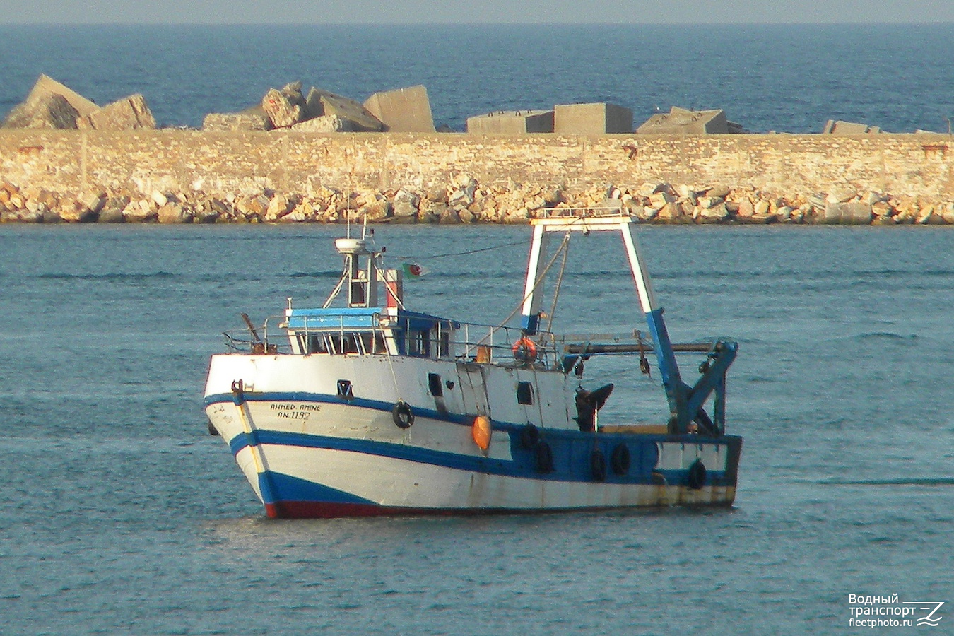 Ahmed Amine