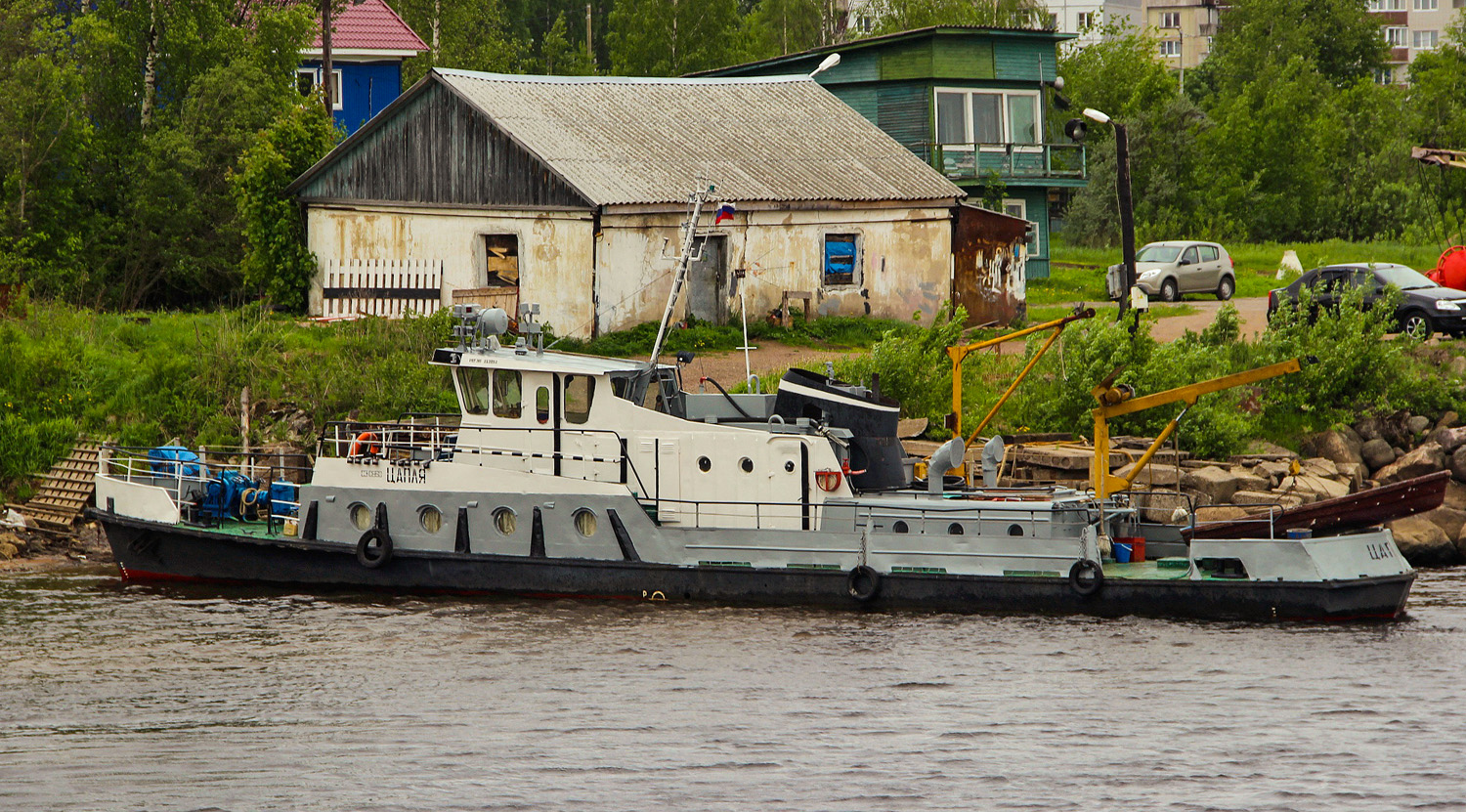 Цапля
