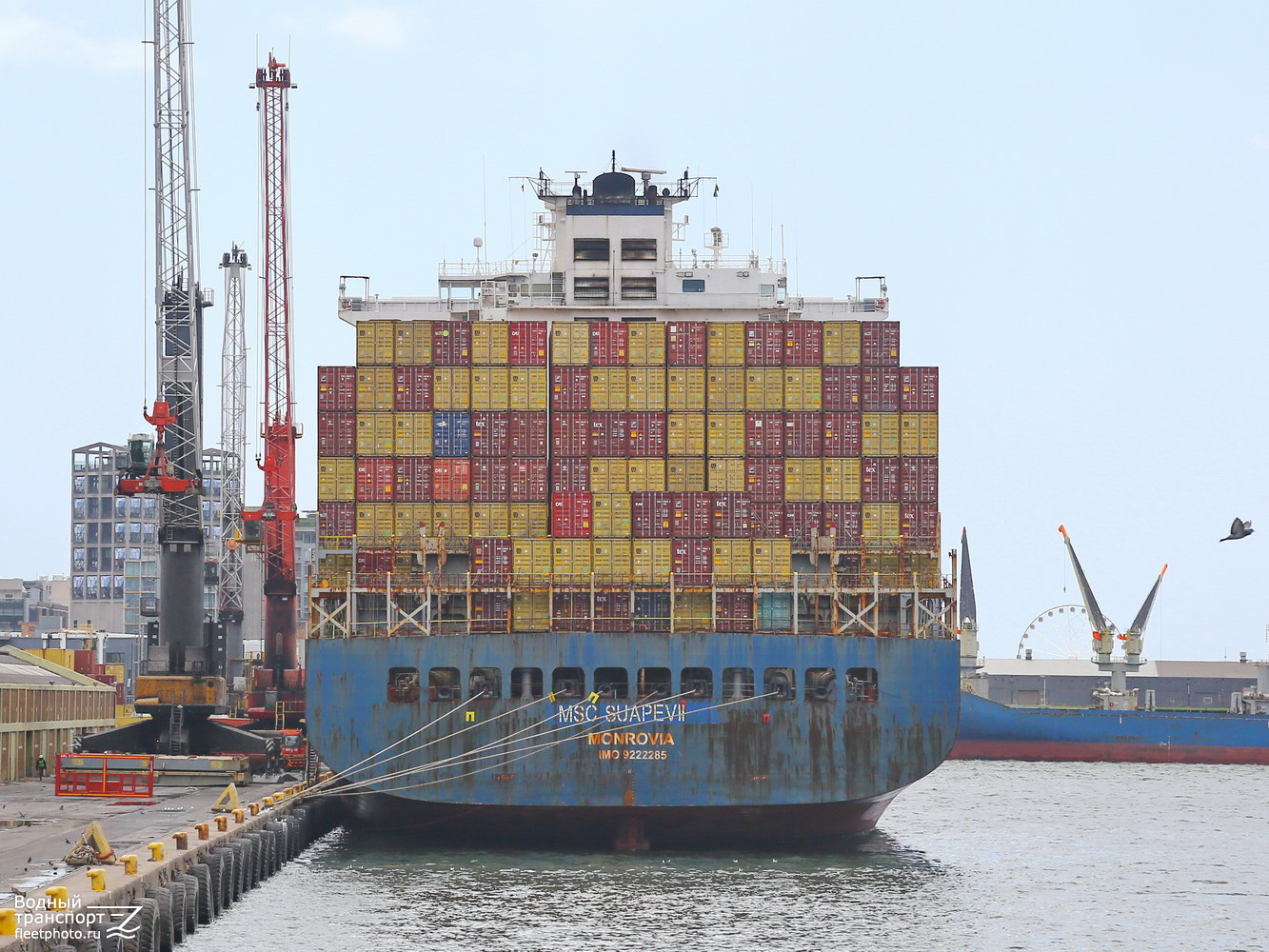 MSC Suape VII