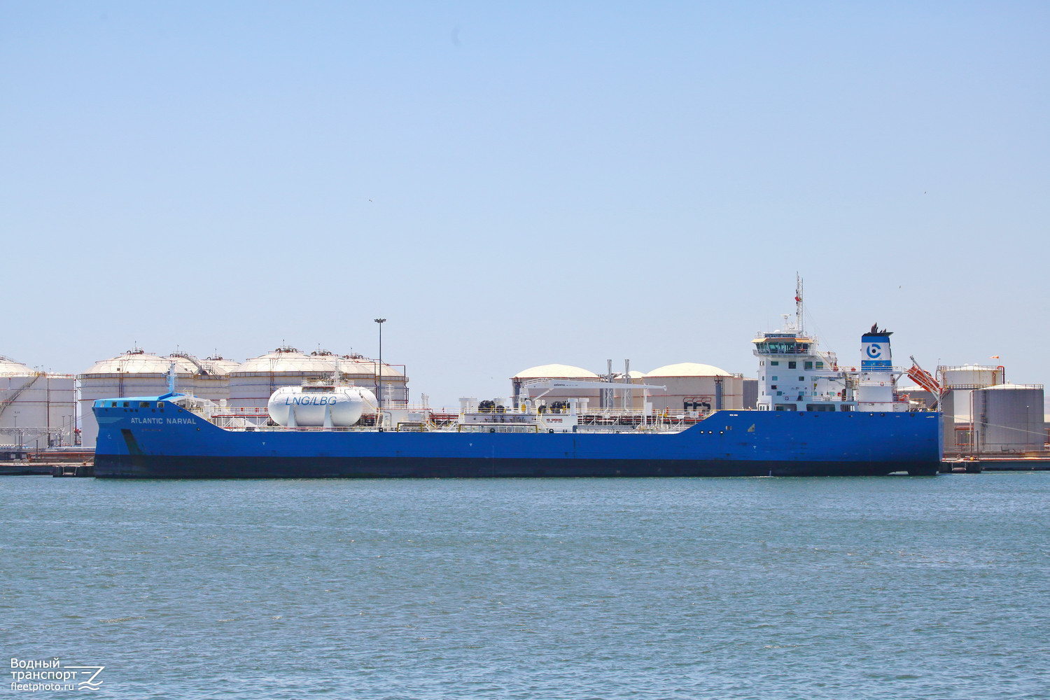 Atlantic Narval