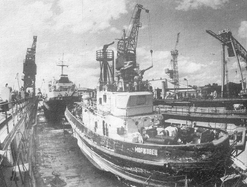 М-31, Моржовец. Книги, фотоальбомы и периодические издания