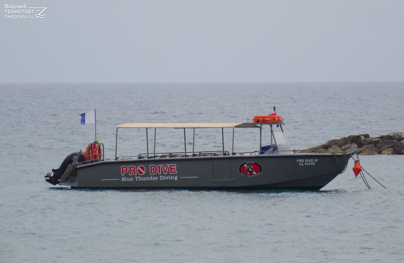 Pro Dive III
