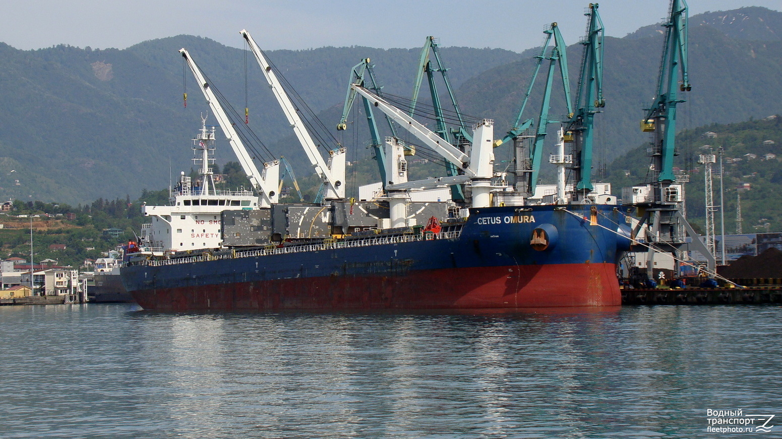 Cetus Omura