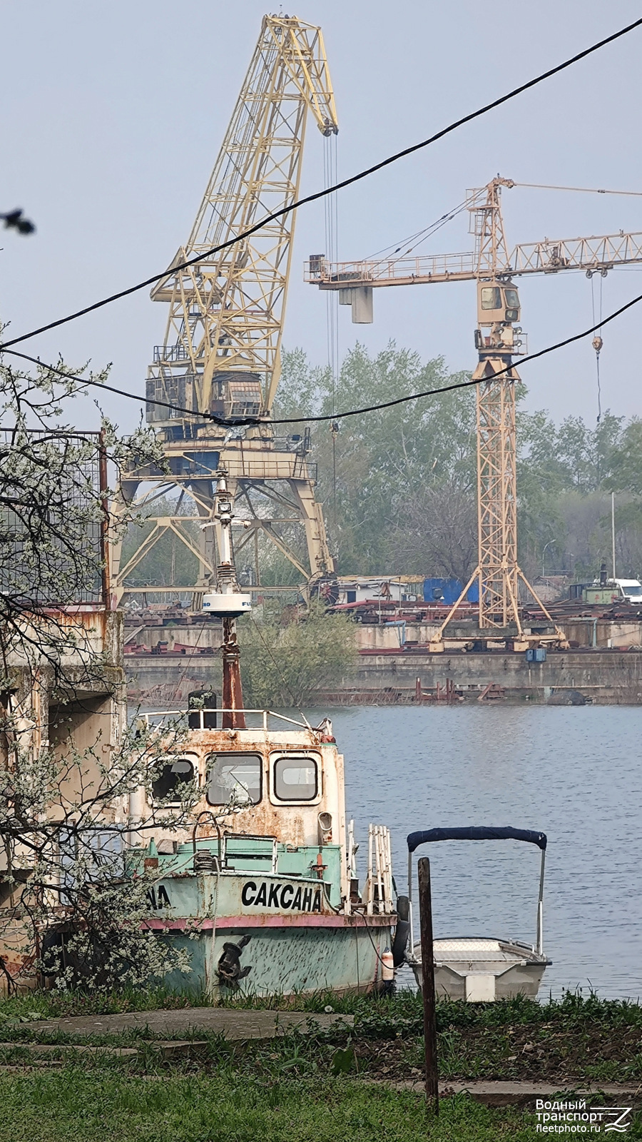 Саксана, BG-545 H