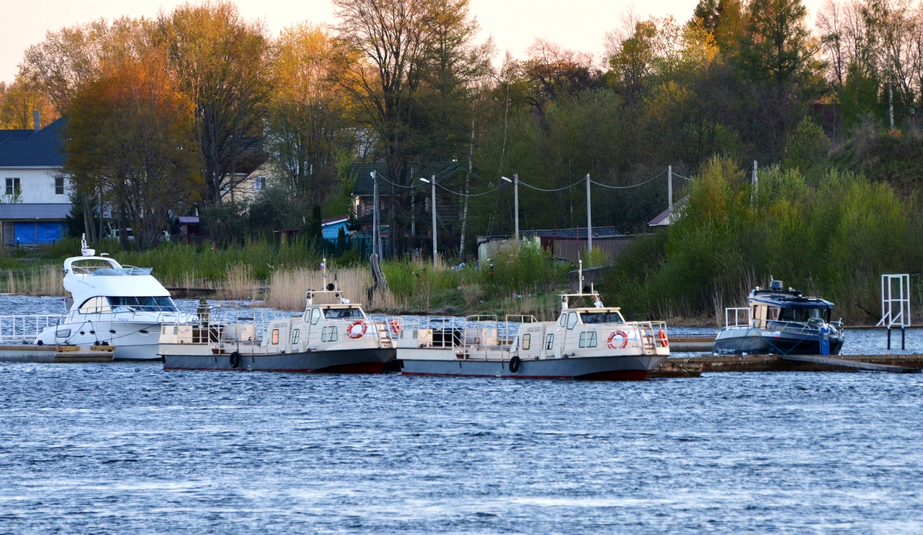 РЛЗ 42-54, Нева Ларн-2, Нева Ларн-1, АА 1531 RUS 78